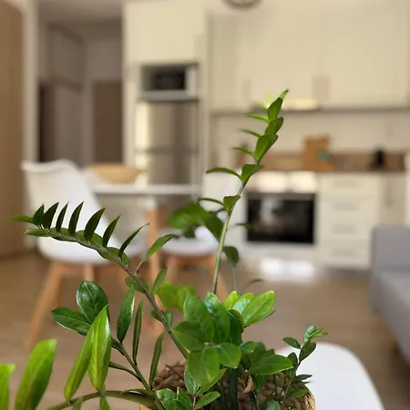 Apartamento Calm Joy & J - Jay