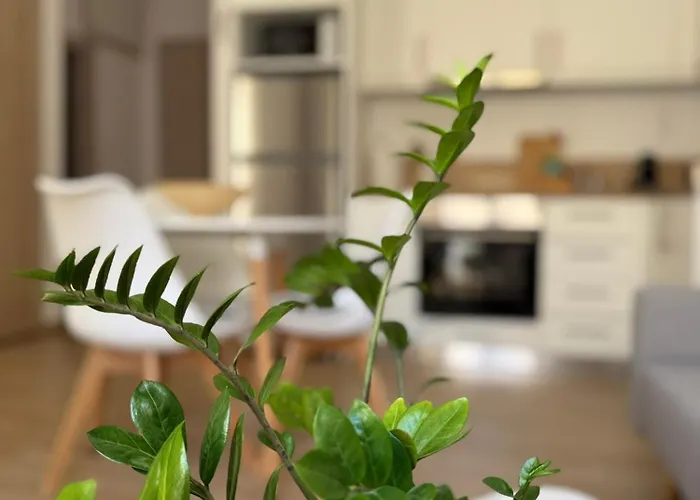 Appartement Calm Joy & J - Jay