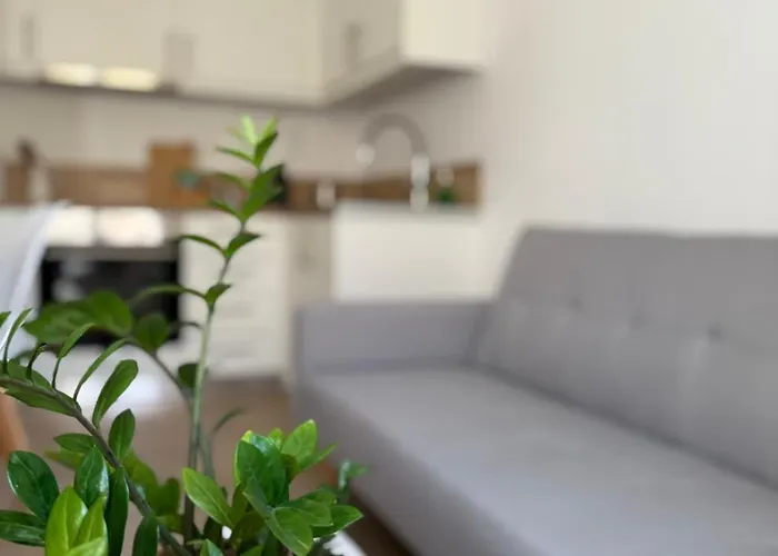 Calm Joy & J - Jay Apartamento